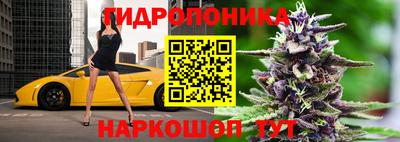 эйфоретик Обнинск